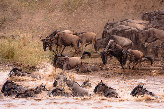 migration-across-the-river