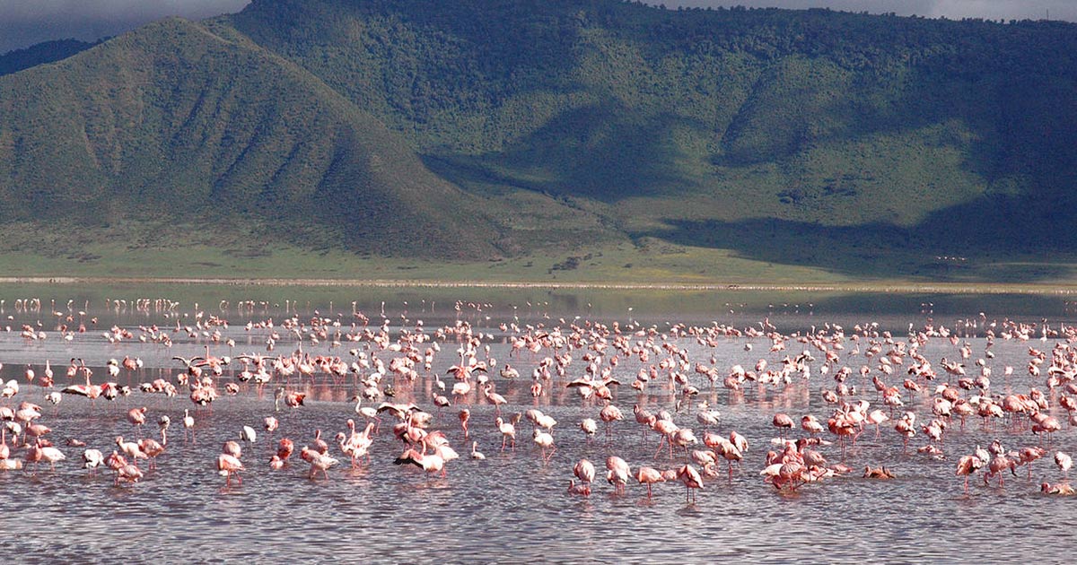 ngorongoro-crater